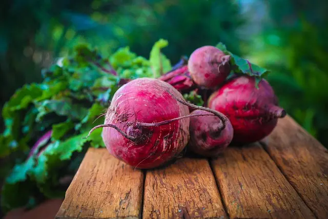 El Arte de Hacer Tapas Españolas: Tradición y Recetas