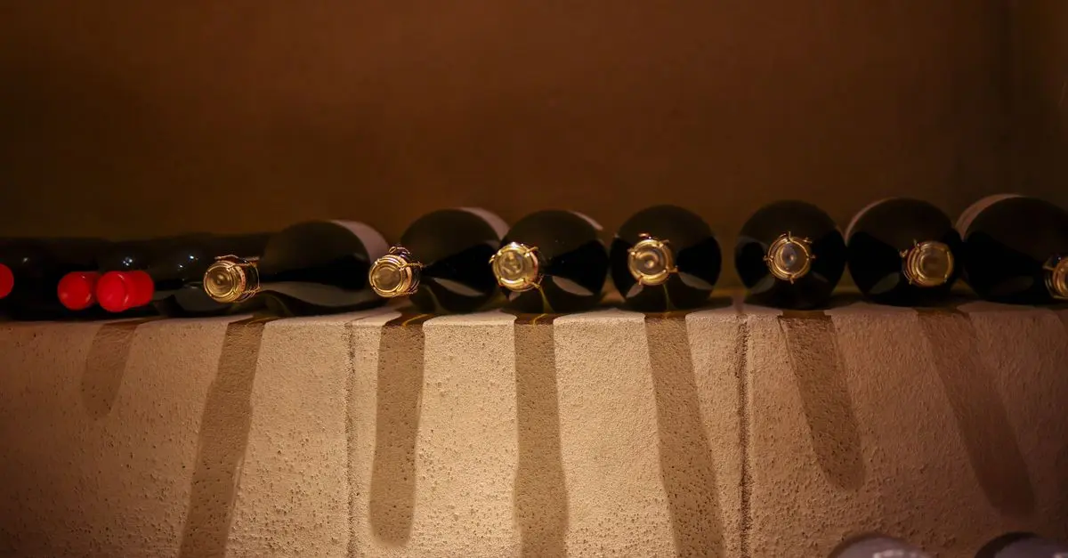 Cómo Realizar una Cata de Vinos Españoles: Guía Práctica
